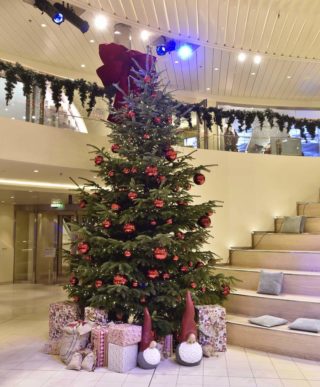 AIDA Weihnachtsbäume / © AIDA Cruises